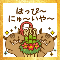 It is boar year