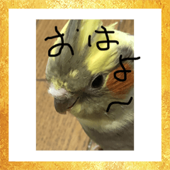mayumi_20181120213523