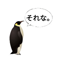 肯定ペンギンくん改 Line スタンプ Line Store 肯定ペンギンくん改 Line スタンプ Line Store