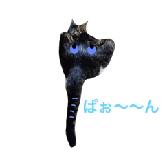 Haruna_20181120230932