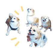 Pekishiba party3 animation sticker