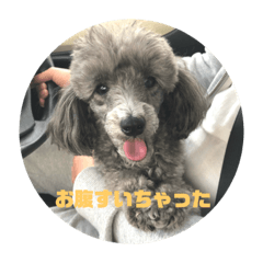 NOZOMI_20181121002149