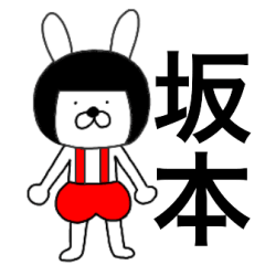 Bear rabbits Sakamoto