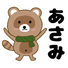 Raccoon2 Asami