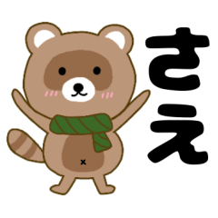 Raccoon2 Sae