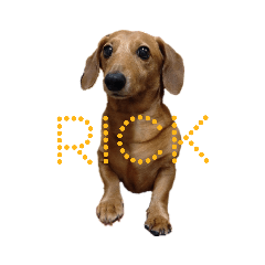 RICK the dachshund version 2