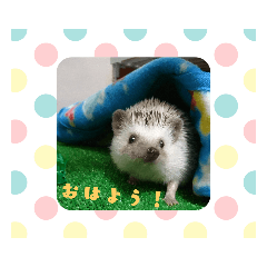 iku_20181122091826