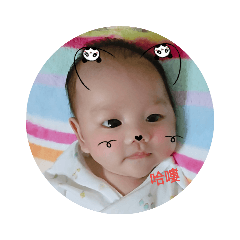 小番茄生活