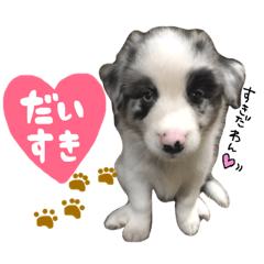 marina_20181122014552