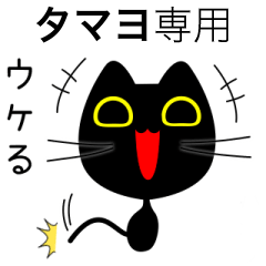 【タマヨ】専用の黒猫です