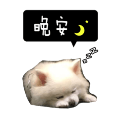 快樂一家親