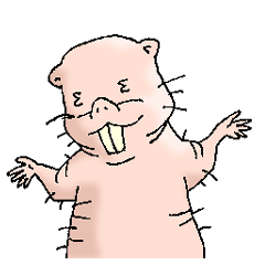 ハダカデバネズミ人生を語る Line スタンプ Line Store