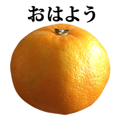 mikan 2