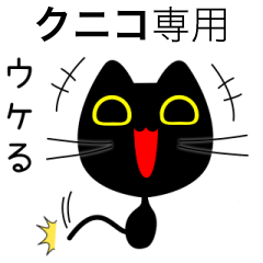 【クニコ】専用の黒猫です