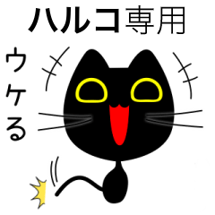 【ハルコ】専用の黒猫です