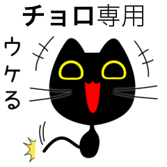 【チョロ】専用の黒猫です