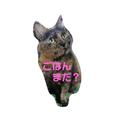 Nozomi_20181122111841