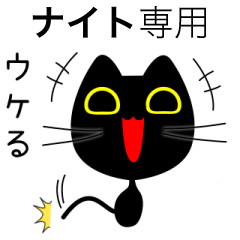 【ナイト】専用の黒猫です