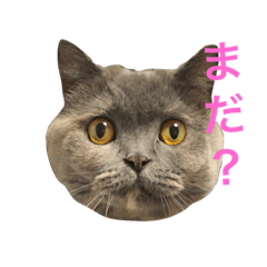 UME NO STAMP