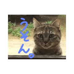 miii_20181122164842