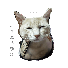 玬玬
