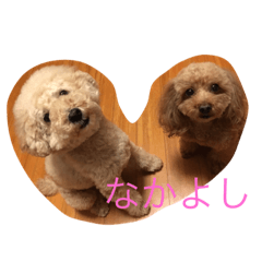 shishimaru&hana