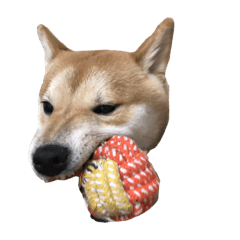 魔法咪嚕