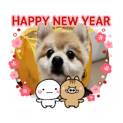 Pomeranian Kumatan New Year's Stamp 2019