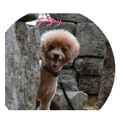 hisa..s_20181121222555