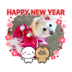 Pomeranian Momo's New Year's Stamp 2019