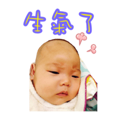 小蜜蜂Bo妞