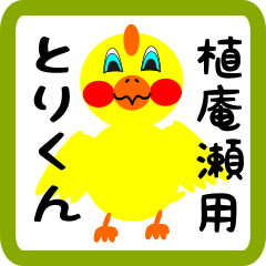 Lovely chick sticker for Ichijuuan