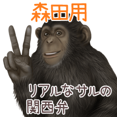 Morita 1 Monkey's real myouji