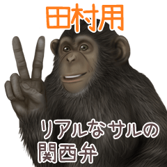 Tamura Monkey's real myouji