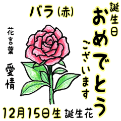 December Birth Flowers Flower Language Yabe Line貼圖代購 台灣no 1 最便宜高效率的代購網