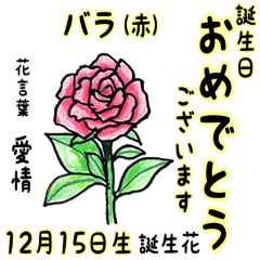 December, birth flowers,flower language.