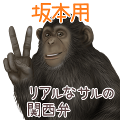 Sakamoto 1 Monkey's real myouji