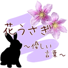 Flowers and the Silhouettes of Rabbits 3