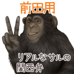 Maeda 1 Monkey's real myouji