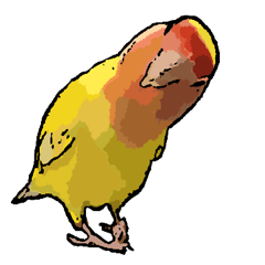 JILL of the parakeet