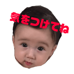 Yukari_20181116102027