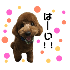 raimukun sticker 0927