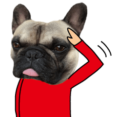 The Pug dog sticker