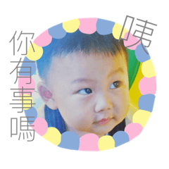 衍衍日常