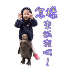 雙魚媽的幸福家庭1