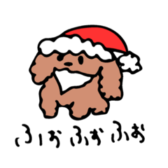 Toypoodle(toypoo) Christmas,winter ver.