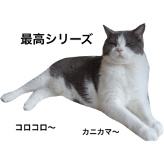 Marina_20181121224343