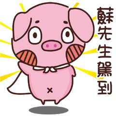 Coco Pig -Name stickers - Mr.Su