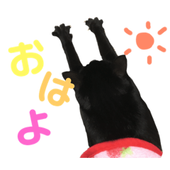 kuroneko naru chan stamp