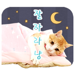 갈색얼룩 고양이 먀의 스탬프